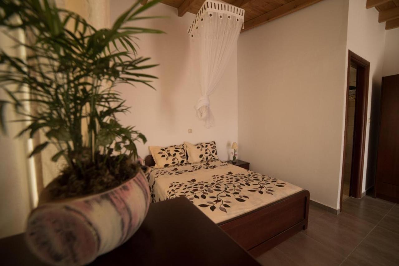 Bodikos Apartments Pitsidia Exteriér fotografie